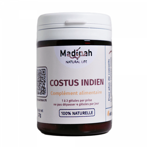 Costus indien